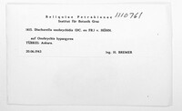 Image Associated With the Occurrence